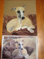 /album/galerie-photos/copie-de-photo-713-jpg/